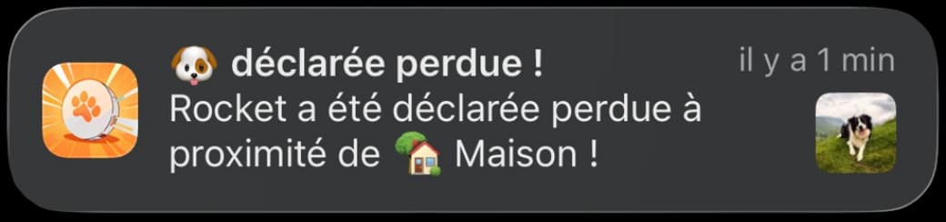Widget chien perdu iOS Android