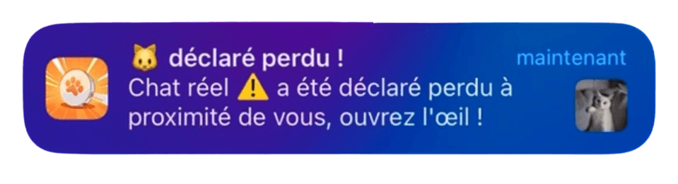 Notification example