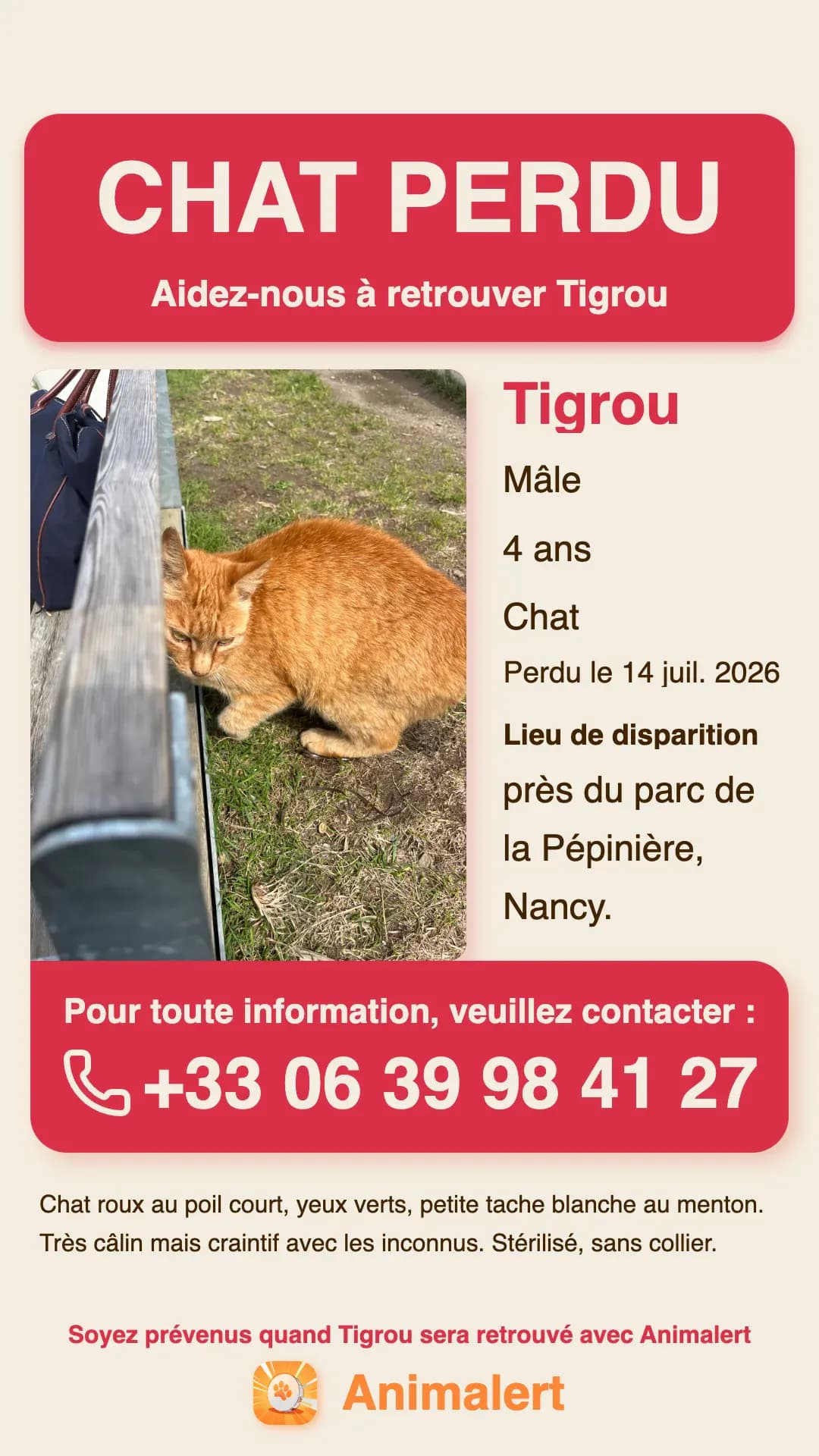 Exemple d'affiche pour chat perdu créée avec Animalert : Tigrou, chat roux tigré perdu à Nancy, modèle couleur gratuit à imprimer