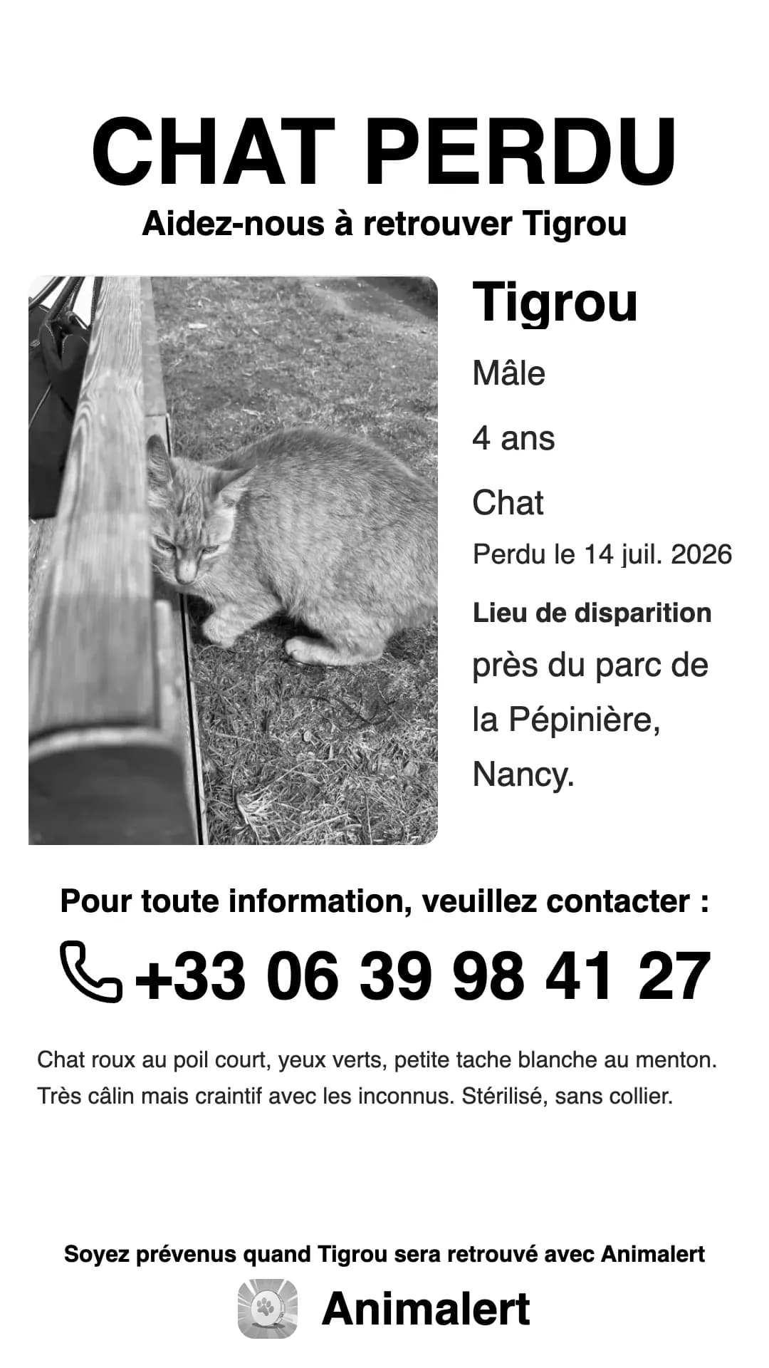 Affiche de chat perdu en noir et blanc, plus économique à imprimer : Tigrou, chat roux tigré perdu à Nancy