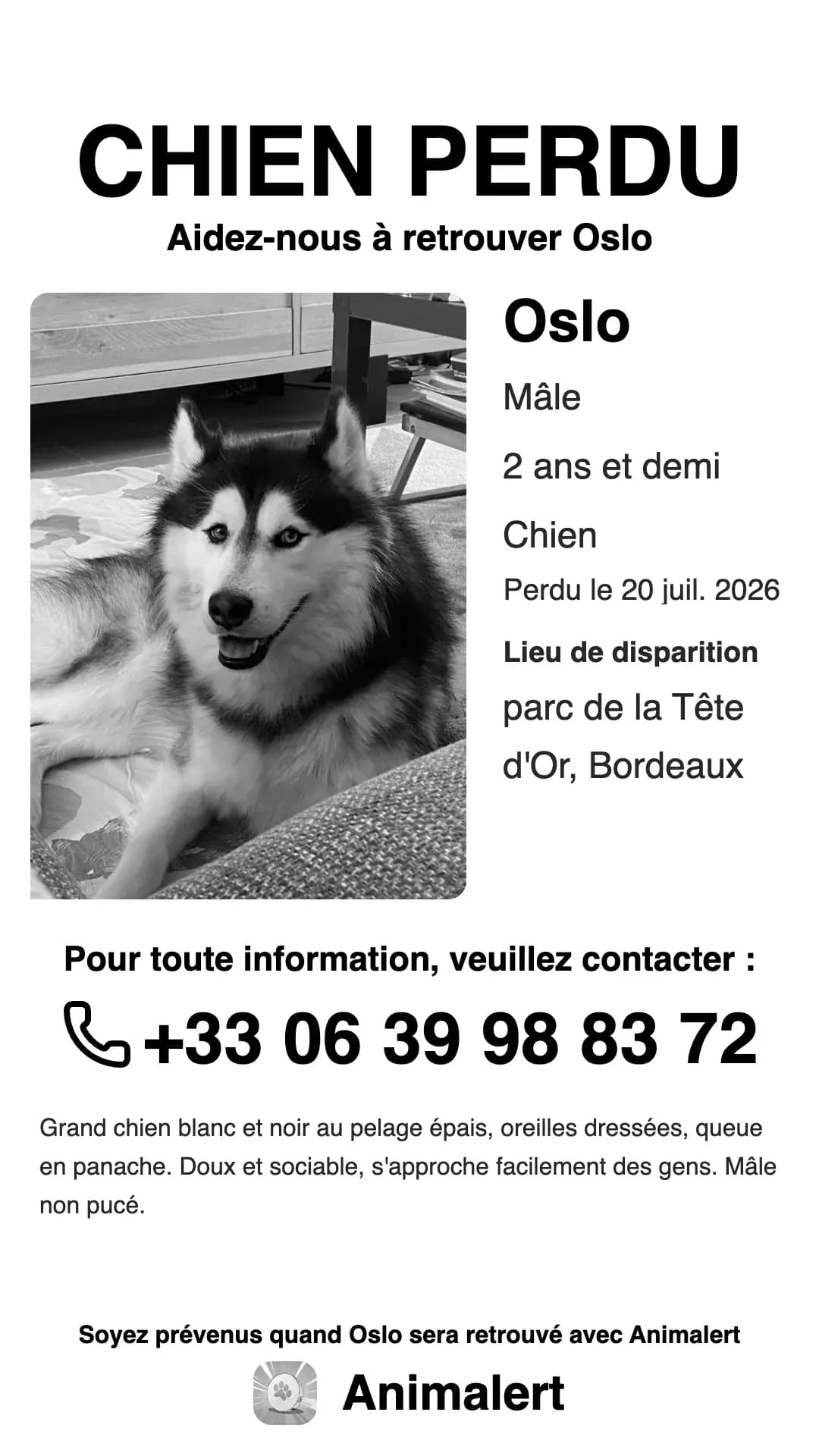 Affiche de husky perdu en noir et blanc, prête à imprimer : Oslo, perdu à Bordeaux