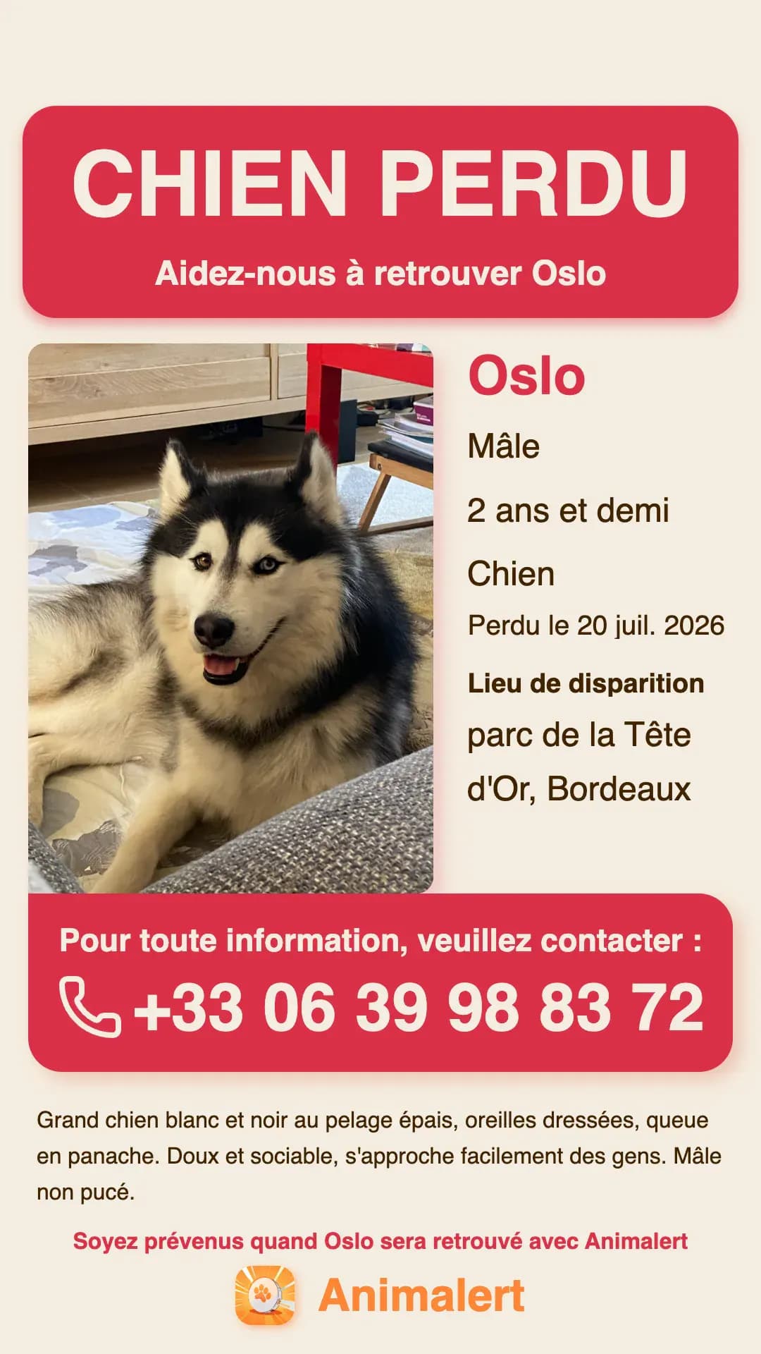Affiche de chien perdu à imprimer : Oslo, husky perdu à Bordeaux, modèle couleur gratuit Animalert