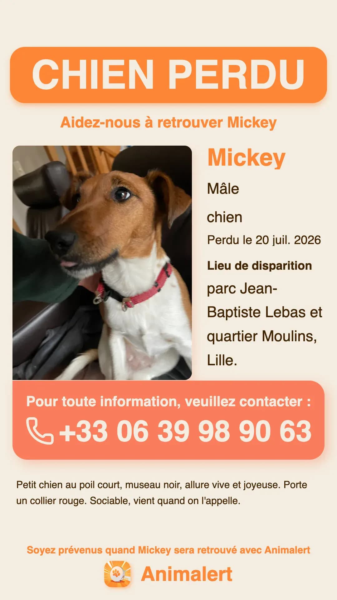 Exemple d'affiche pour chien perdu créée avec Animalert : Mickey, petit chien au collier rouge perdu à Lille, modèle couleur gratuit