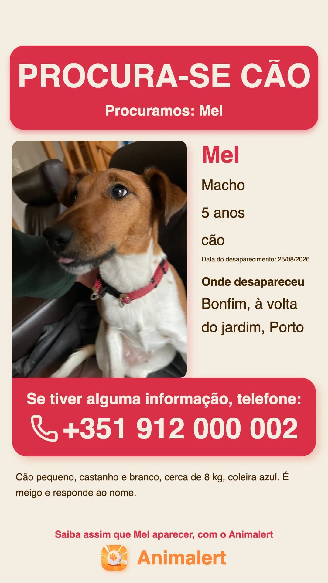 Cartaz de cão desaparecido para imprimir, exemplo do Porto