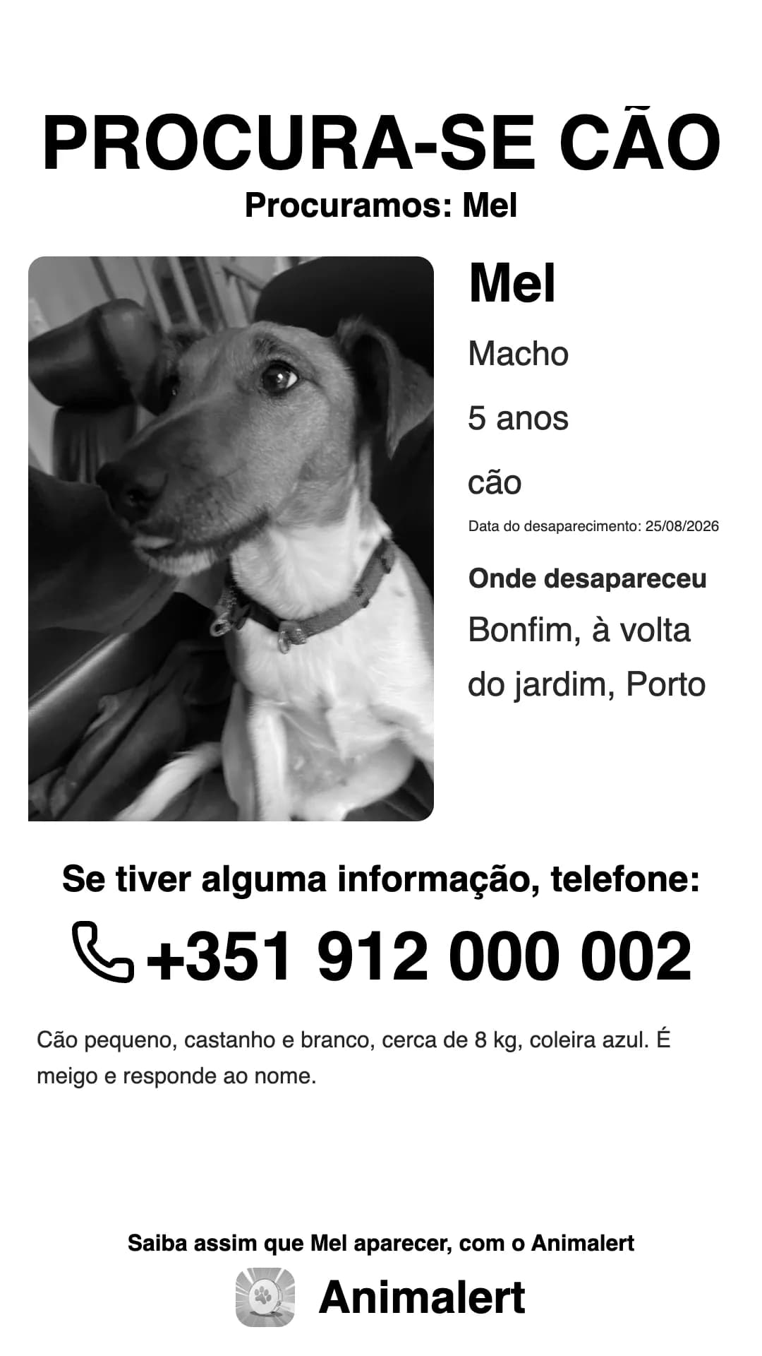Cartaz de cão desaparecido a preto e branco para a impressora de casa