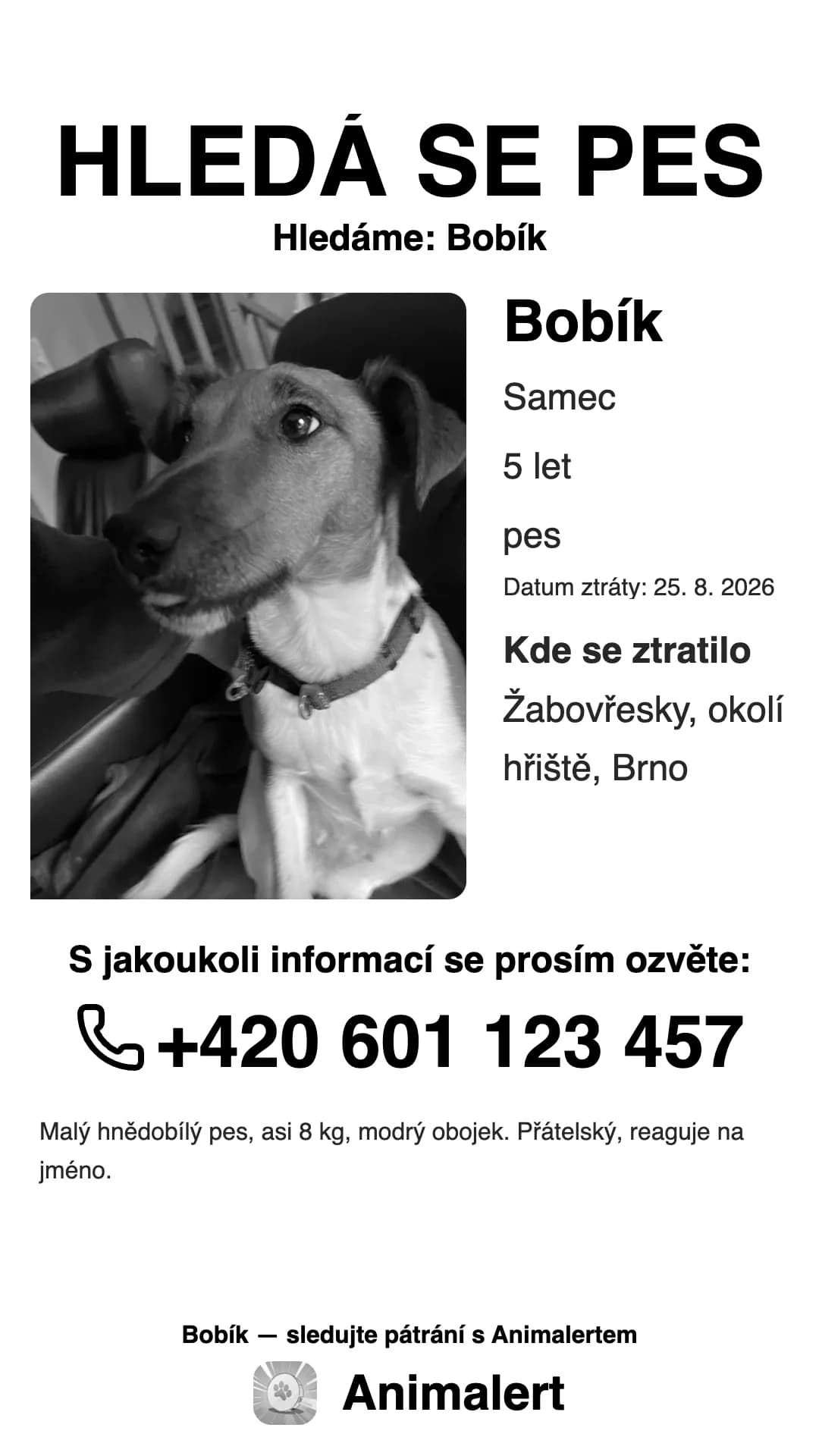 Černobílý leták na ztraceného psa pro domácí tiskárnu