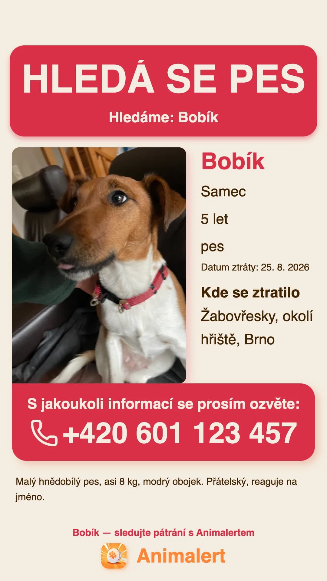 Leták na ztraceného psa k vytisknutí, ukázka z Brna